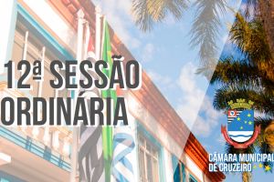 12ª Sessão Ordinária trata sobre a criação do Programa Municipal “Parceiros do Esporte”