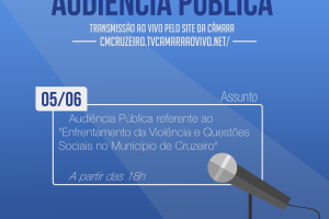 Audiência Pública - 28/05/2025