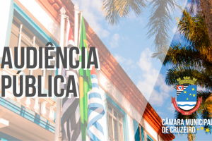 Câmara Municipal realiza Audiência Pública para Prestação de Contas do 3º Quadrimestre de 2024 da Secretaria Municipal de Saúde