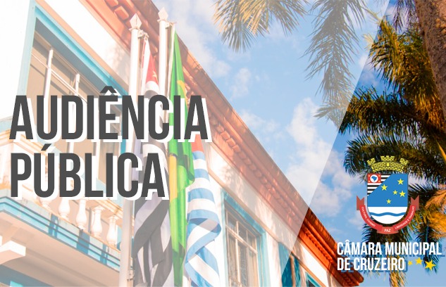 Audiencia Publica
